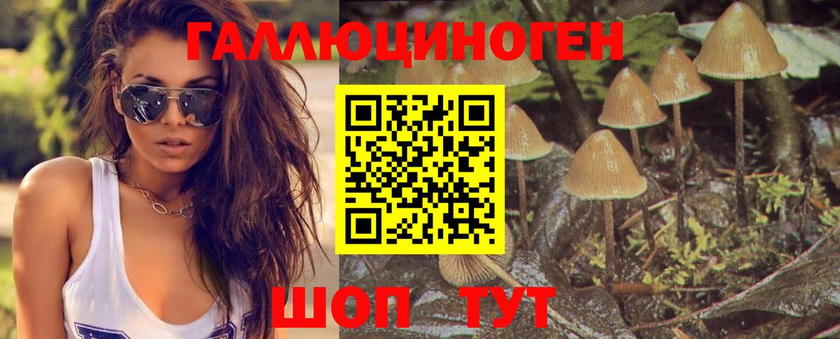 Галлюциногенные грибы Magic Shrooms Волжский