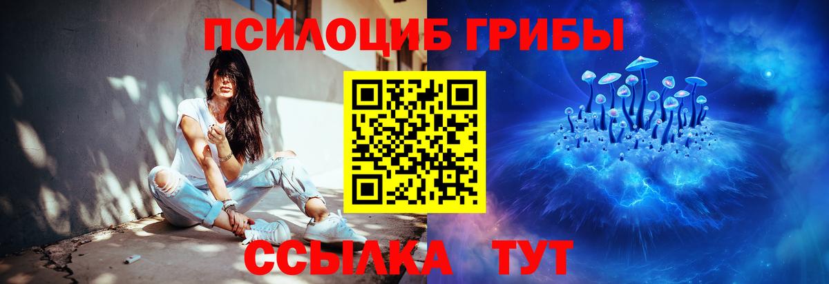 Волжский  Галлюциногенные грибы мицелий  наркотики  Вход с VPN 